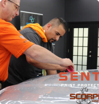 Automotive paint protection film pre-cut kits